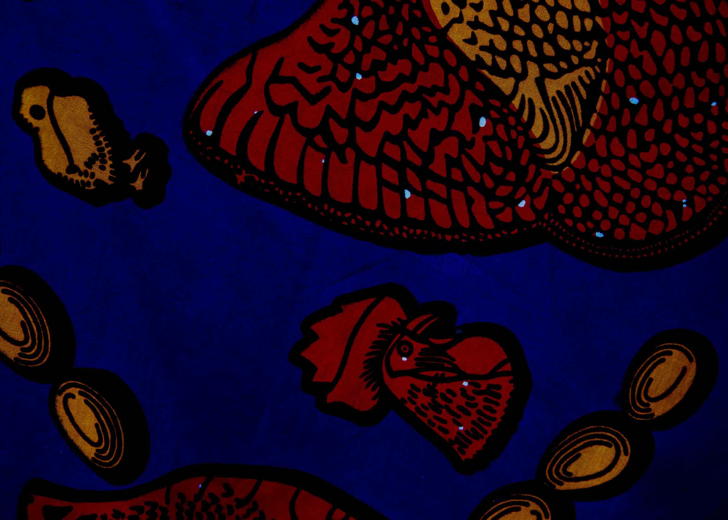 display of a rooster and chick design dress in blue, red and orange